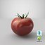 tomato realistic model