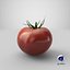 tomato realistic model