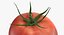tomato realistic model