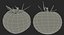 tomato realistic model