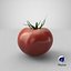 tomato realistic model