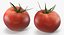 tomato realistic model