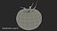 tomato realistic model