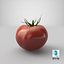 tomato realistic model