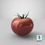 tomato realistic model