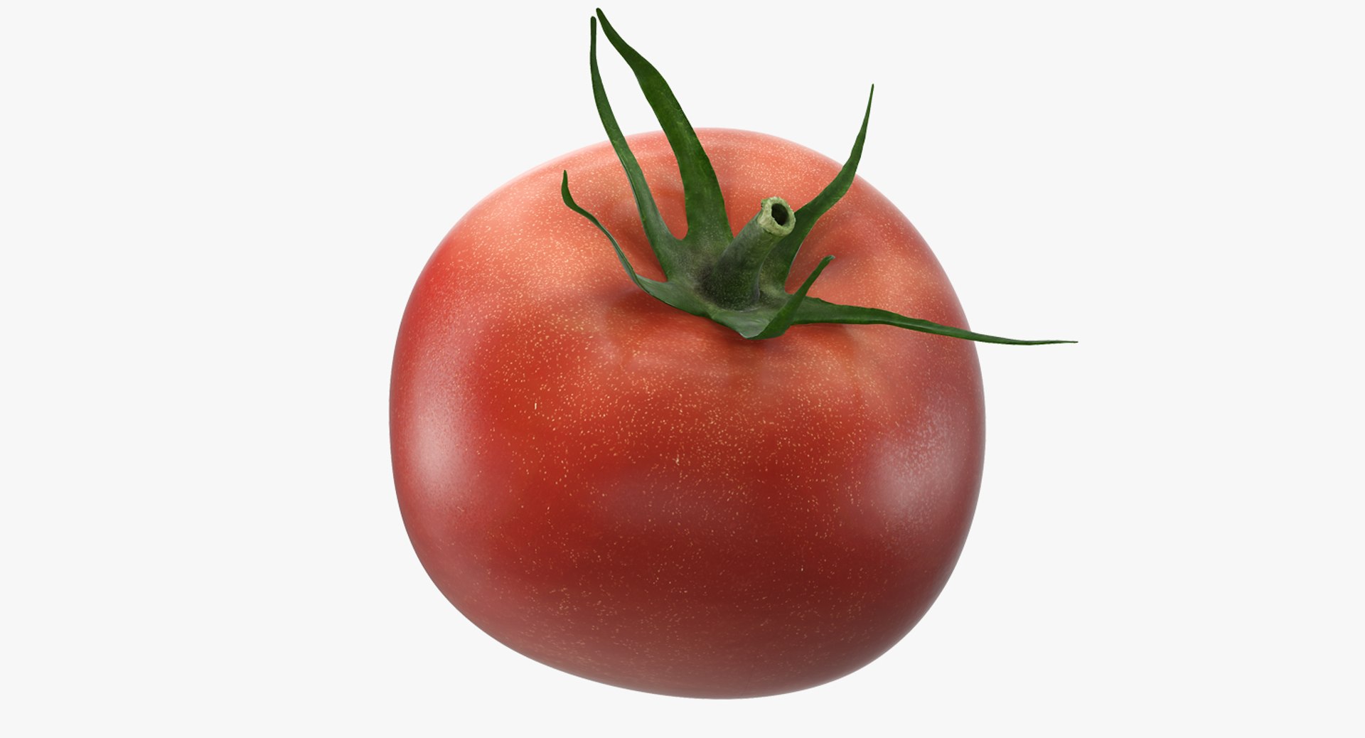 tomato realistic model https://p.turbosquid.com/ts-thumb/t7/viwctL/x8yp6IG4/tomatomb3dmodel046/jpg/1498478951/1920x1080/fit_q87/b9ac249a930db7fa4d0291f2326941a95742be0a/tomatomb3dmodel046.jpg