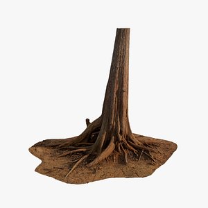 3D Anydrafts Taxodium ascendens Trunk 06