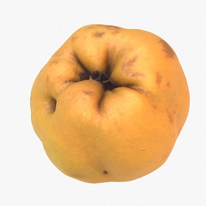 3D Quince fruit 01 high-poly 3D model