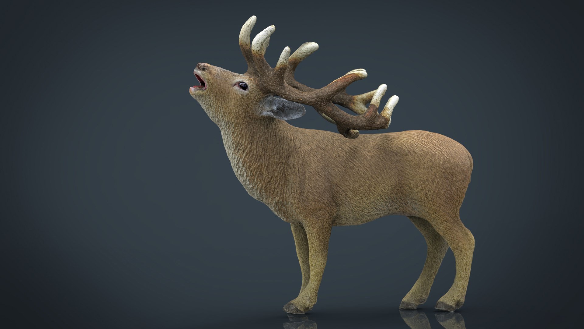 forest pack tree 3D model https://p.turbosquid.com/ts-thumb/t8/GjNqMr/0zcFGBOp/deer/jpg/1508157517/1920x1080/fit_q87/aa7197f806d152442e6ed5c864808185aea80f3d/deer.jpg