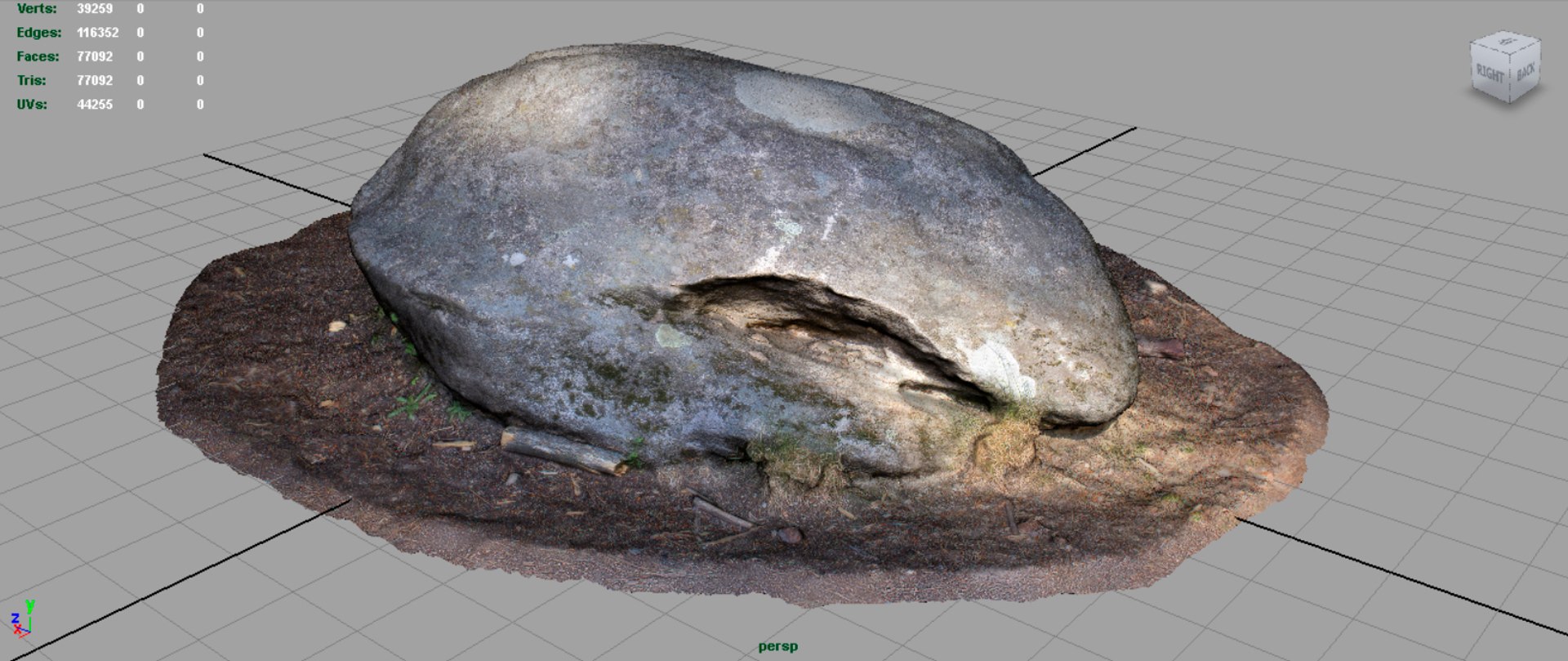 forest pack tree 3D model https://p.turbosquid.com/ts-thumb/t8/GjNqMr/175a26Aj/render1/jpg/1508157761/1920x1080/fit_q87/575d2705bf35d70fd5b38cde6bcb8d5a4f03054a/render1.jpg