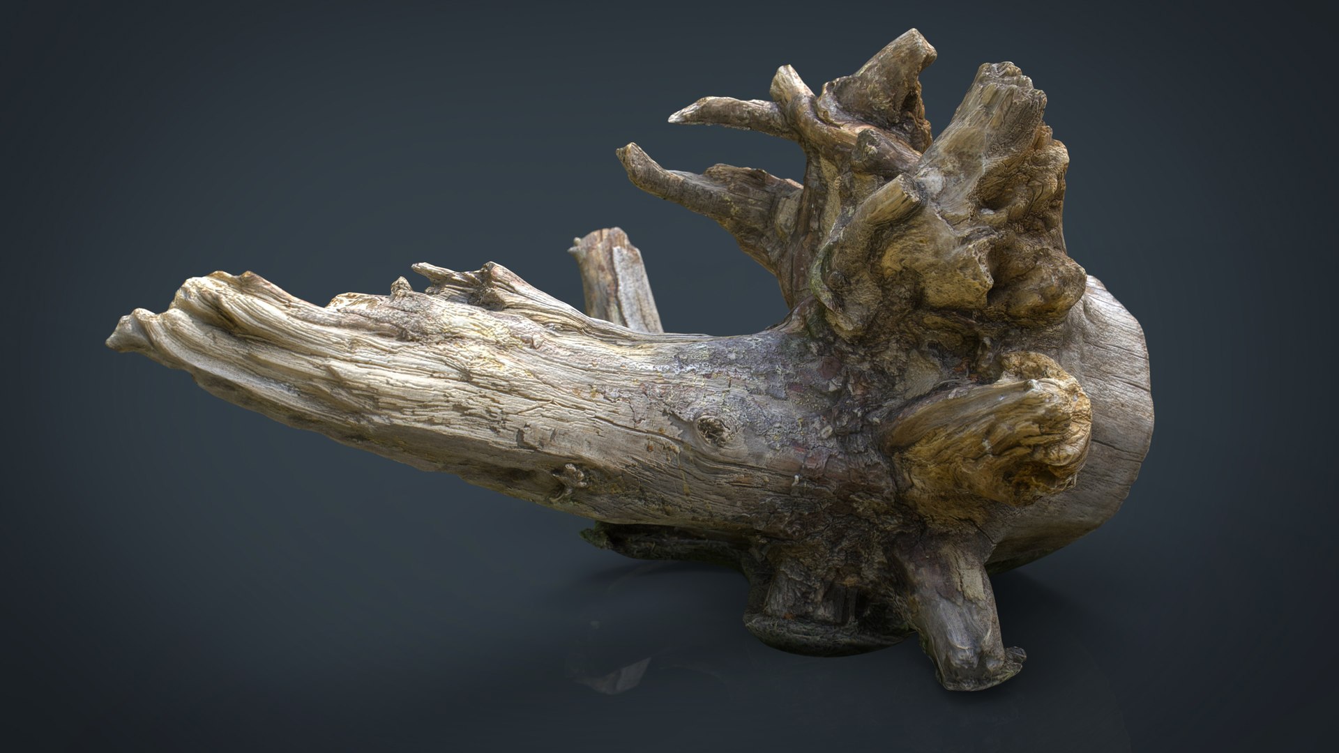 forest pack tree 3D model https://p.turbosquid.com/ts-thumb/t8/GjNqMr/3vkXUTlp/deadtrunk2/jpg/1508157660/1920x1080/fit_q87/1d2e3b7c8e6463713b886d7e3b8379f243099740/deadtrunk2.jpg