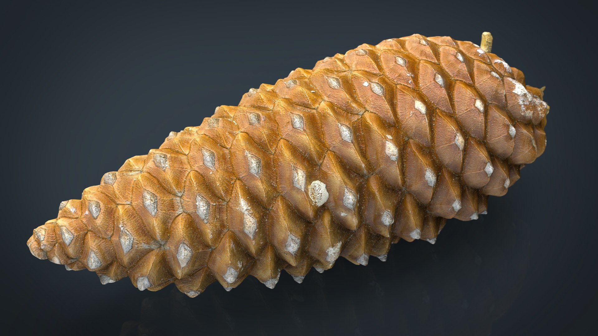 forest pack tree 3D model https://p.turbosquid.com/ts-thumb/t8/GjNqMr/DhR9NPu8/pinecone/jpg/1508158125/1920x1080/fit_q87/34709d154f28e7c6bdc58a64d167b1e1ee9a7be1/pinecone.jpg