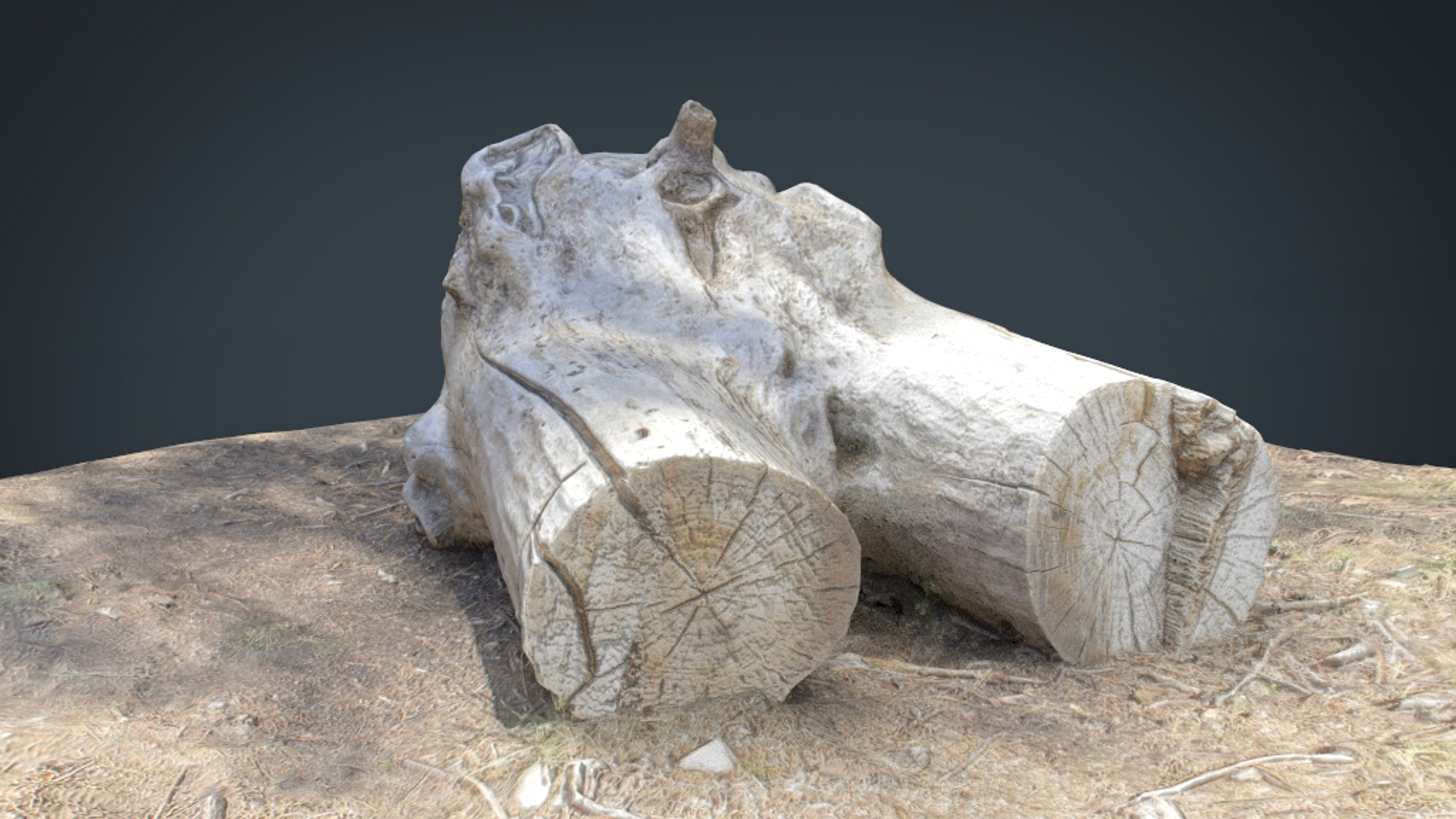 forest pack tree 3D model https://p.turbosquid.com/ts-thumb/t8/GjNqMr/IJWhUw2q/deadtrunk4_/jpg/1508158632/1920x1080/turn_fit_q99/e598f98d9c3c324426875ca8599047f759fd77fd/deadtrunk4_-1.jpg