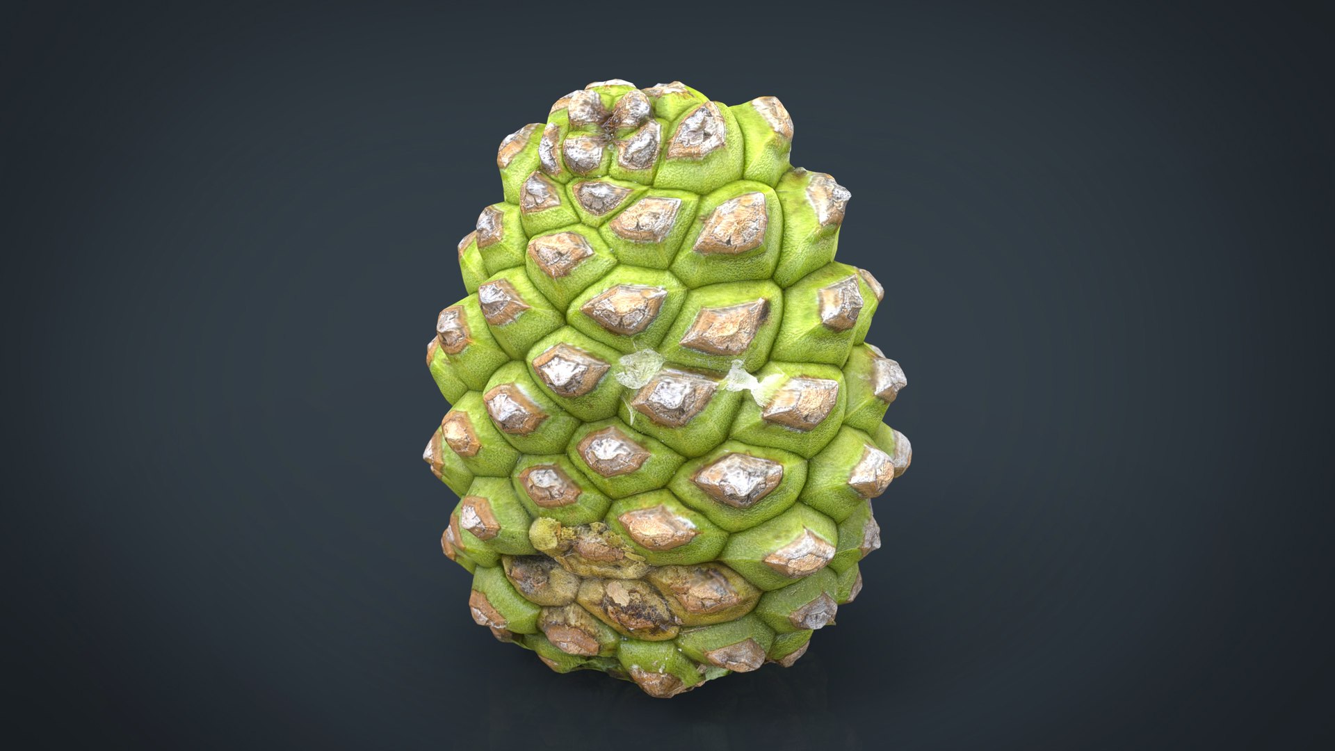 forest pack tree 3D model https://p.turbosquid.com/ts-thumb/t8/GjNqMr/N7qd8S4A/pinecone2/jpg/1508158090/1920x1080/fit_q87/e0bb291600af575f89fa45118f2f51eb7023e053/pinecone2.jpg