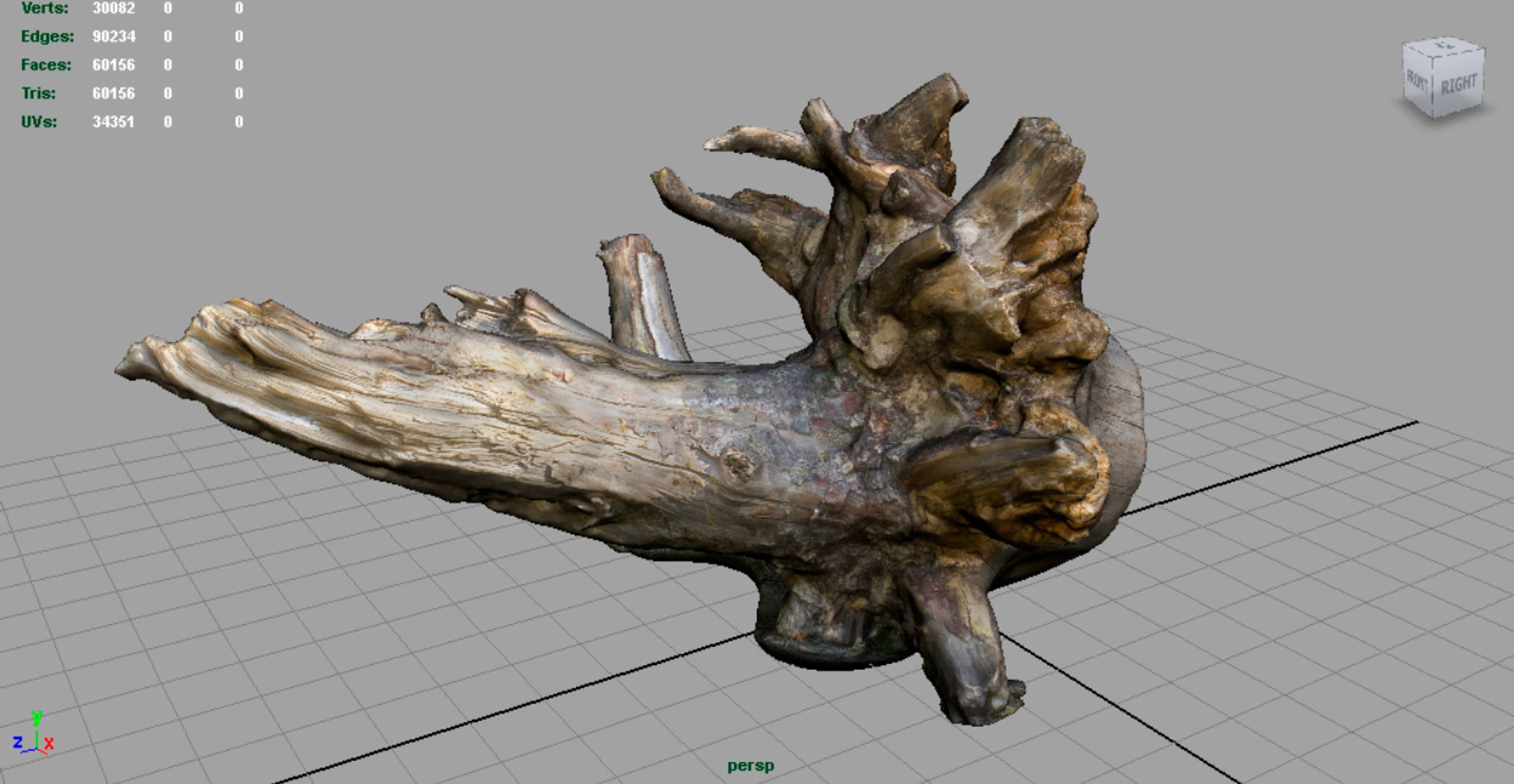 forest pack tree 3D model https://p.turbosquid.com/ts-thumb/t8/GjNqMr/Q4lTIC8u/render1/jpg/1508157660/1920x1080/fit_q87/7815788d8a28dc3e8e41fcc46aad58e90513aa41/render1.jpg