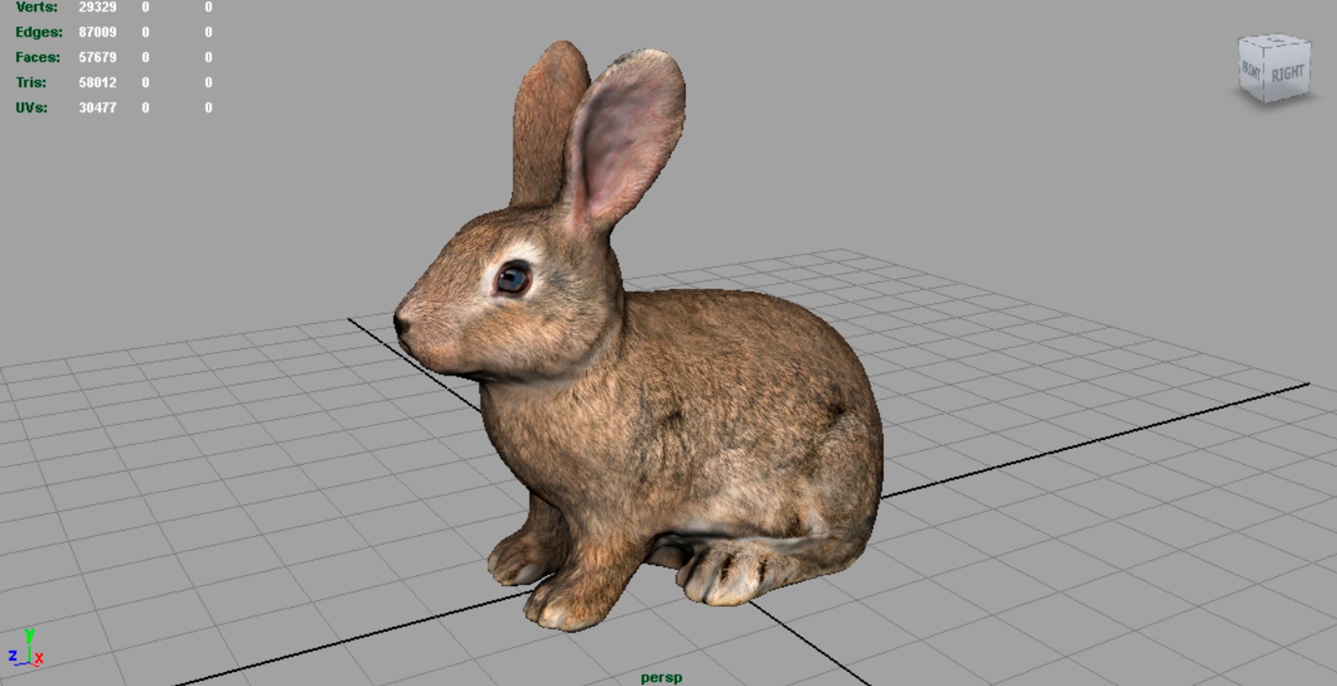 forest pack tree 3D model https://p.turbosquid.com/ts-thumb/t8/GjNqMr/eais7bmU/render1/jpg/1508157555/1920x1080/fit_q87/c372efe812f59d33da35c017fcd4d62dfc4011df/render1.jpg
