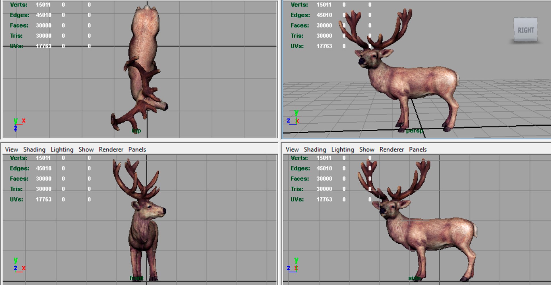 forest pack tree 3D model https://p.turbosquid.com/ts-thumb/t8/GjNqMr/f6UuADA1/render4/jpg/1508158334/1920x1080/fit_q87/ec13d1e132805b45cc7da0c3d881ec16b10df84a/render4.jpg