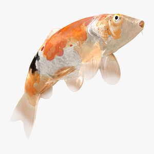 3D Japanese Carp Fish Rigged L1821