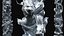 Dragon Columns