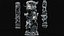 Dragon Columns