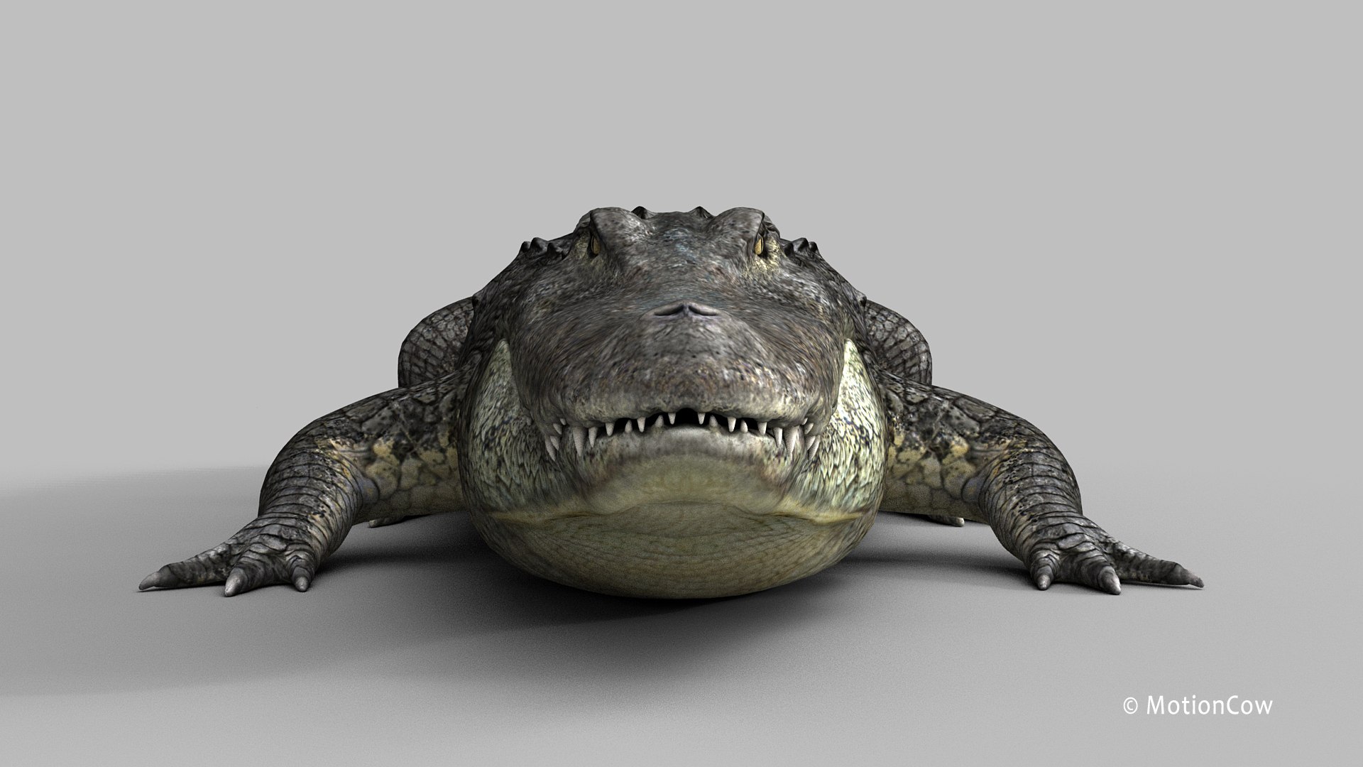 BLACK+DECKER Alligator - 3D model by leeAntony_Ton [f43dd37