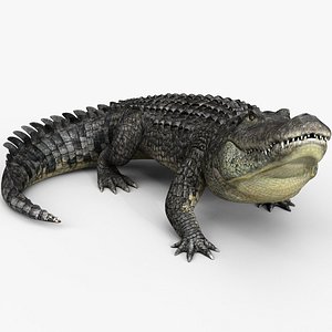 Alligator PRO