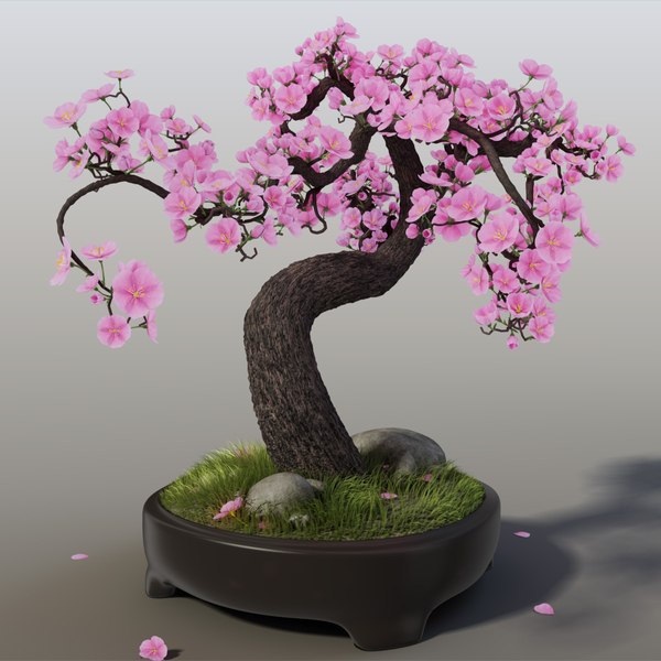 sakura bonsai tree 3d max