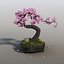 sakura bonsai tree 3d max