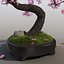 sakura bonsai tree 3d max