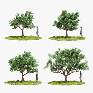 Model tree010 with looped wind animation