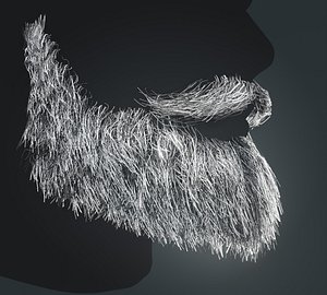3D model Beard RealTime 18 Version 1