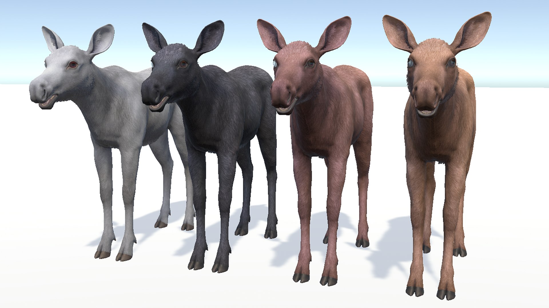 Moose - Calf 3D https://p.turbosquid.com/ts-thumb/t8/qFlJHw/EJ/rs9/png/1697544013/1920x1080/fit_q87/19698355d85af2d47d007c1761f28a3b94c5d64e/rs9.jpg