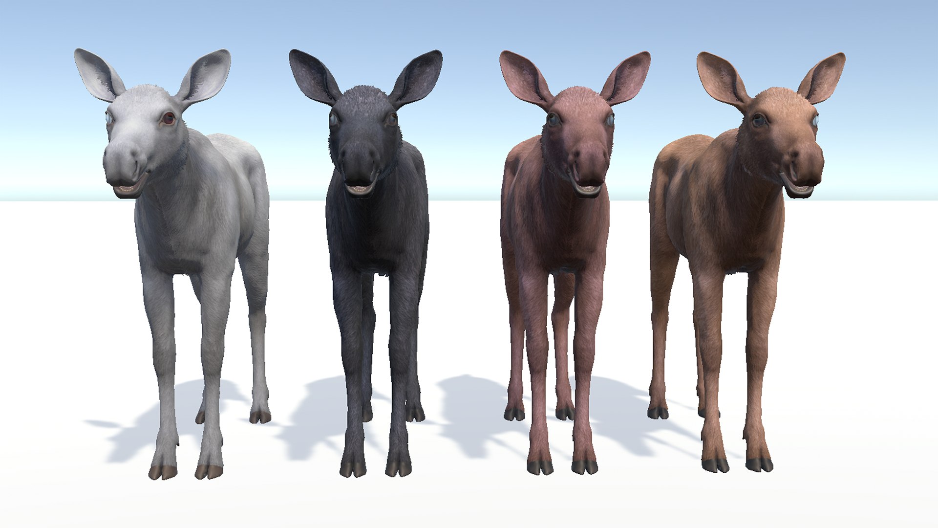 Moose - Calf 3D https://p.turbosquid.com/ts-thumb/t8/qFlJHw/xn/rs10/png/1697544019/1920x1080/fit_q87/f7e4a26a82e4584a3cd1dbc67f85382c064d418d/rs10.jpg