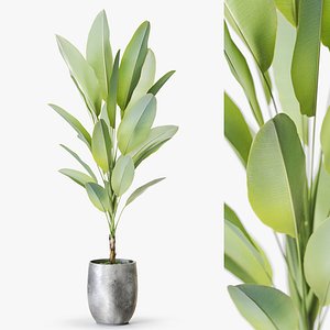 3D model Plant 1283