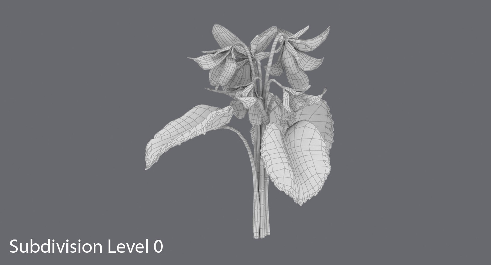 violet----close-group 3d model