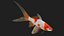 Carp