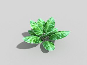 3d plant games model