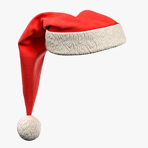 Winter Christmas Hat