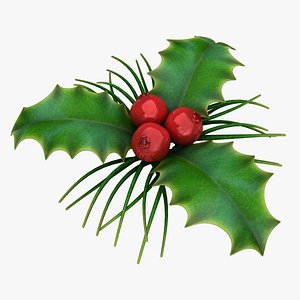 3D holly berry 2