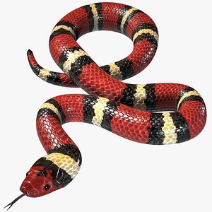 3D Scarlet Kingsnake Rigged PBR