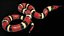 Scarlet Kingsnake Rigged PBR