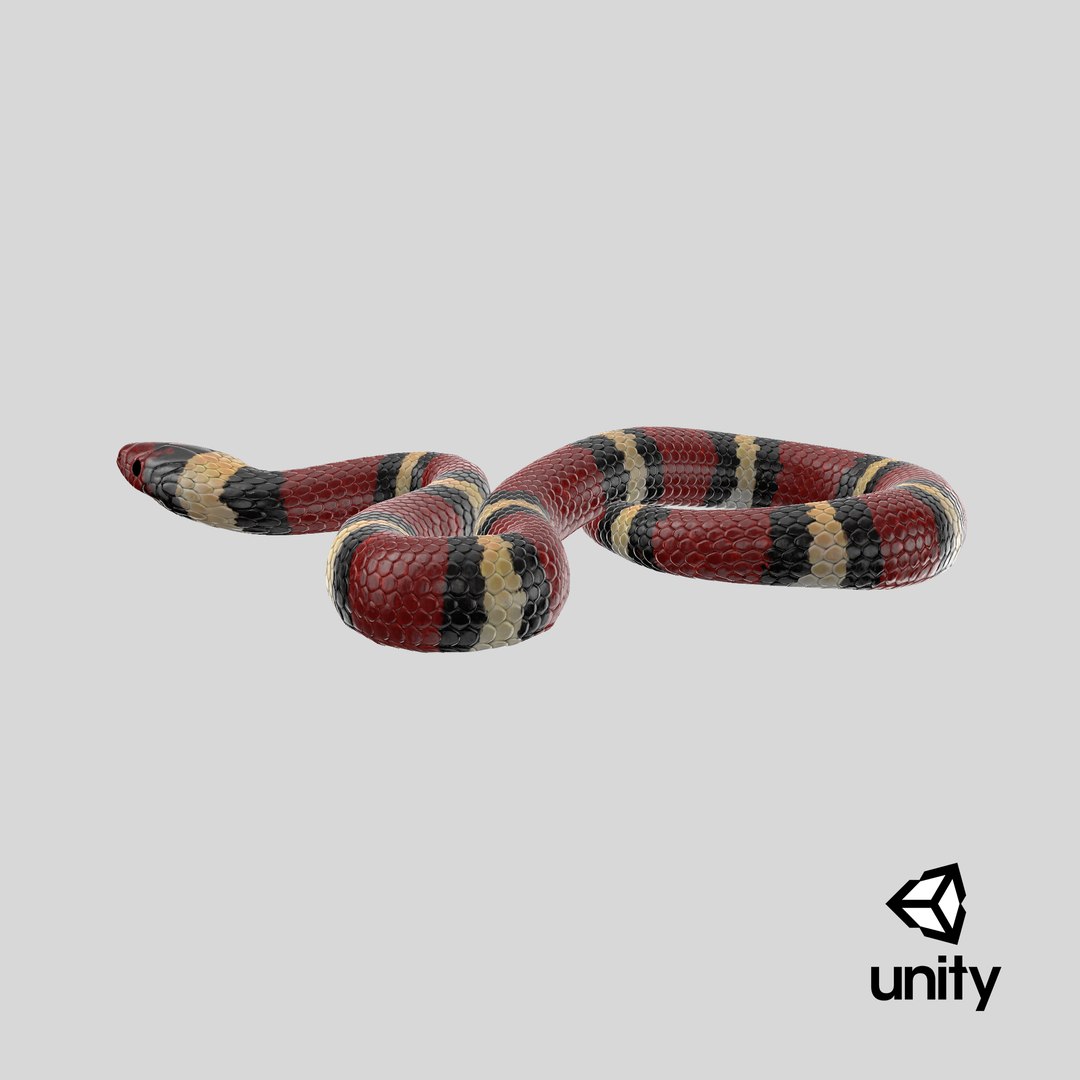 3D Scarlet Kingsnake Rigged PBR https://p.turbosquid.com/ts-thumb/t9/Kxc1iS/H5/stemcell_unity_render/png/1722959839/1920x1080/fit_q87/40cdccb3d896abeaec111a161415048f3bd9f7c4/stemcell_unity_render.jpg