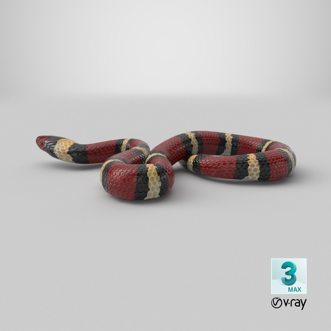 3D Scarlet Kingsnake Rigged PBR https://p.turbosquid.com/ts-thumb/t9/Kxc1iS/Iw/stemcell_max_vray_render/png/1722959832/1920x1080/fit_q87/a1b7b5c95ab20aab51ca056e72b3c78190952914/stemcell_max_vray_render.jpg