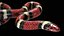 Scarlet Kingsnake Rigged PBR