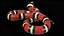 Scarlet Kingsnake Rigged PBR