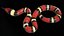 Scarlet Kingsnake Rigged PBR