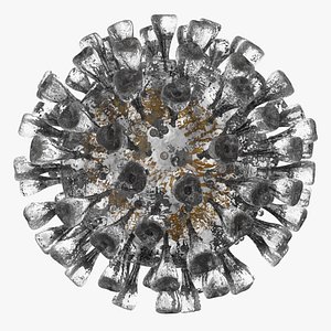 Novel Coronavirus