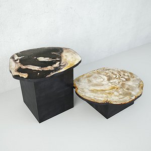 Petrified Wood Slice Coffee Tables 4 3D model
