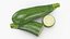 Fresh Green Zucchini Slices 3