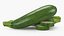 Fresh Green Zucchini Slices 3